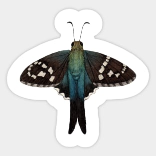 Long-tailed Skipper Sticker